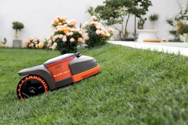 EG Coles Segway